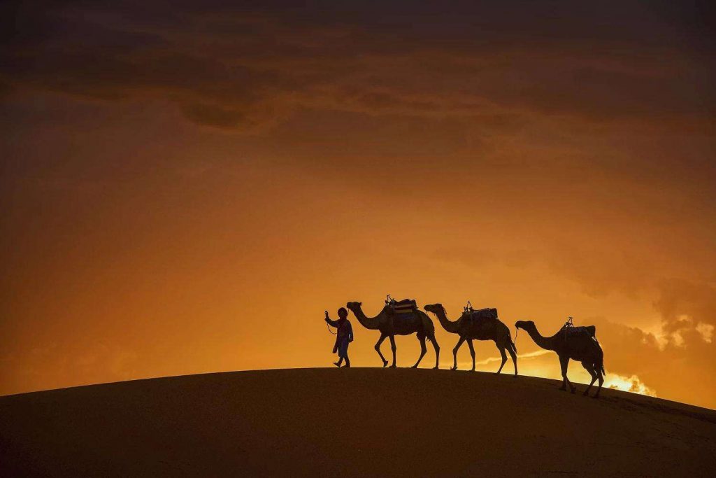 AZEX0HjIaoCzqIZbGBZA