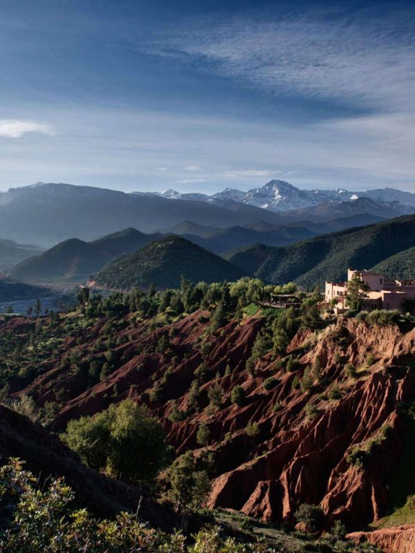 I6ppCz4w6VndSSbUrXFk