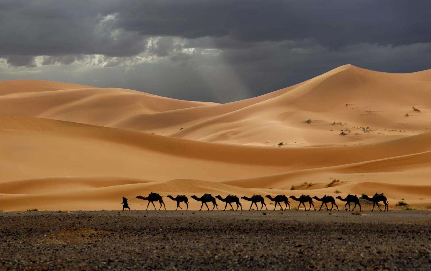 MKWADnI2RKyGbXye2rMb