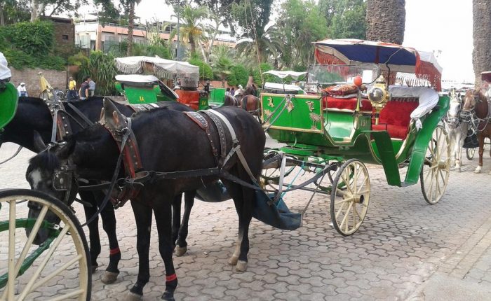 e0vFKoHjtG4kS7DYNcZs