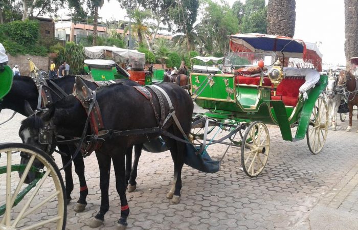 e0vFKoHjtG4kS7DYNcZs