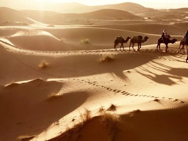 erg chigaga chegaga days desert trip