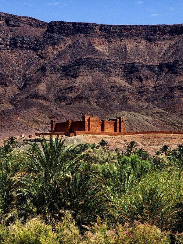 hZXudhhoarJXHIN9Trpu