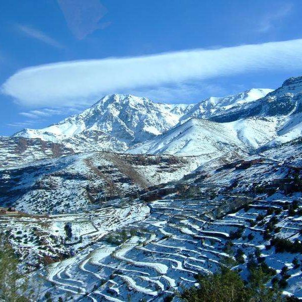 nrLOzXiTzH6S8Z2ypOT3