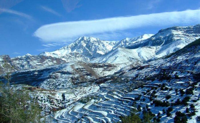 nrLOzXiTzH6S8Z2ypOT3