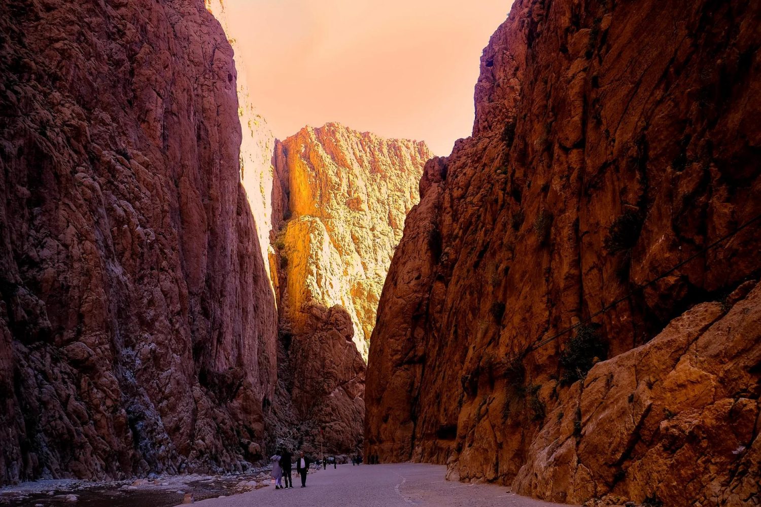 s4z13TvtKP5qfdTL5gom