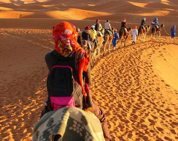 tRK1KFW8zqedDAR0fLVn