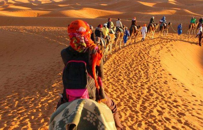 tRK1KFW8zqedDAR0fLVn