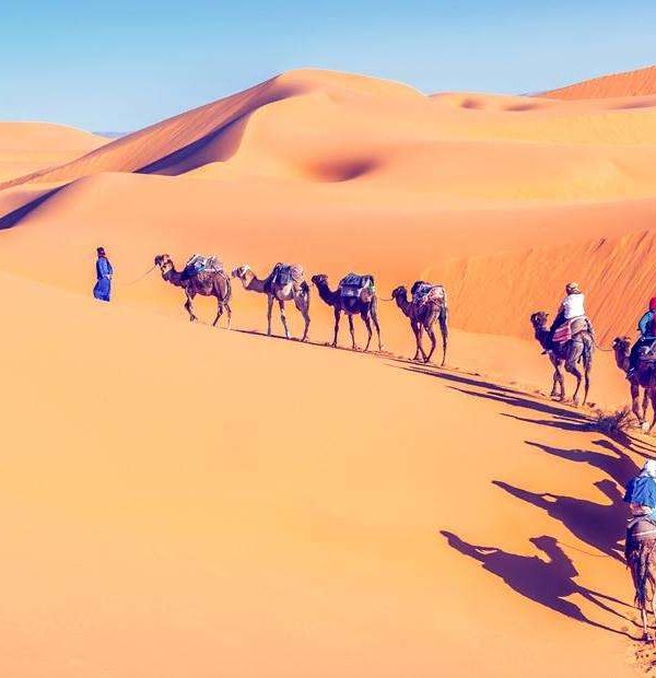 wWAT8eQ8ECsRxlvzXjDh