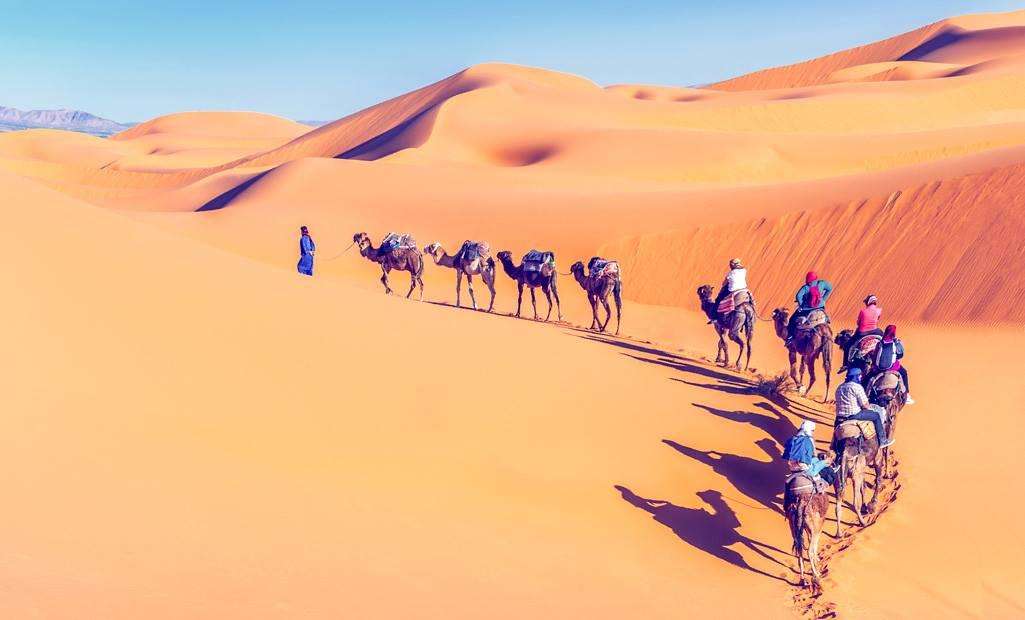 wWAT8eQ8ECsRxlvzXjDh